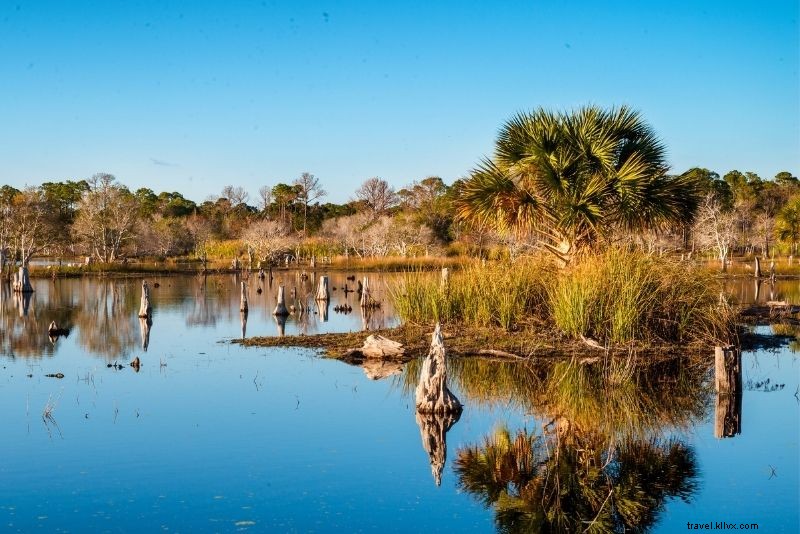 Discover 55 Top Things to Do in Panama City Beach, Florida: Ultimate Guide