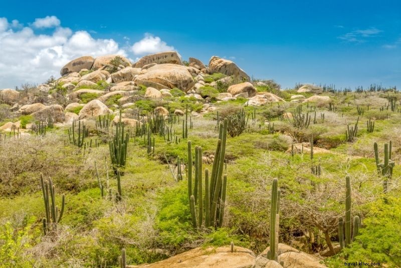 Discover 72 Fun & Unusual Things to Do in Aruba: Ultimate Adventure Guide