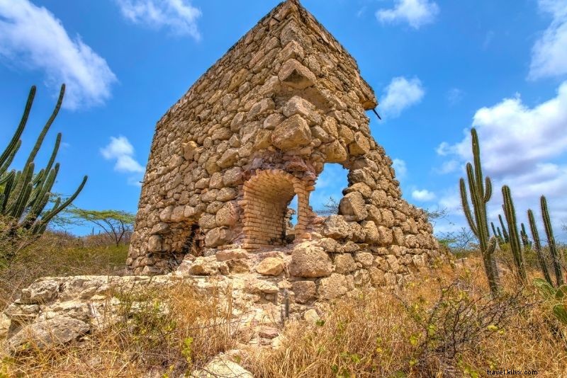 Discover 72 Fun & Unusual Things to Do in Aruba: Ultimate Adventure Guide