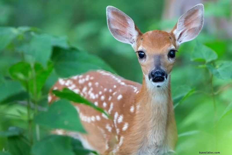 Discover 62 Fun & Unusual Things to Do in Istanbul, Turkey