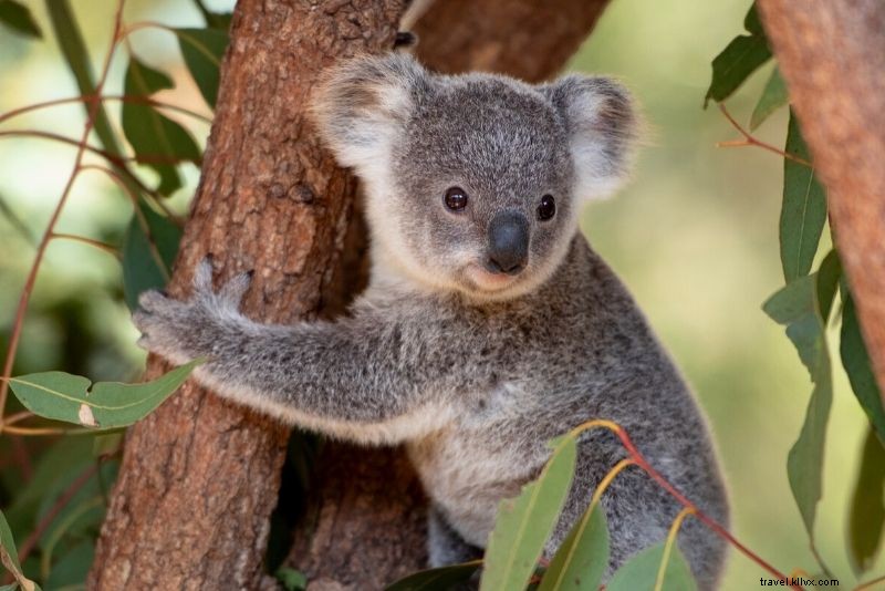 Discover 73 Fun and Unusual Things to Do in Vienna, Austria