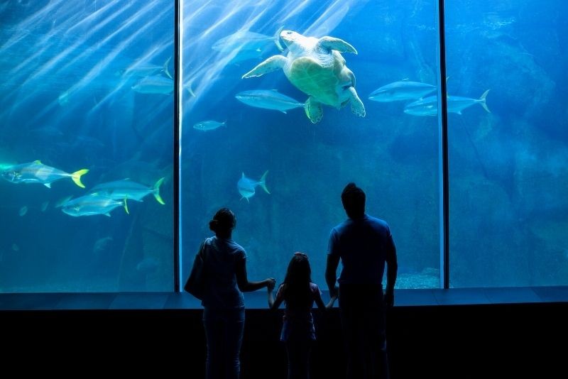 Discover 73 Fun and Unusual Things to Do in Vienna, Austria