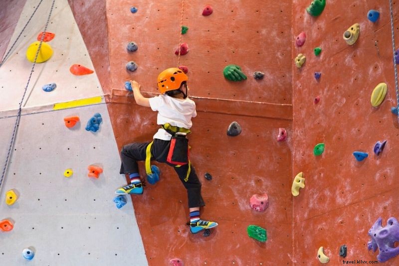 Discover 73 Fun and Unusual Things to Do in Vienna, Austria