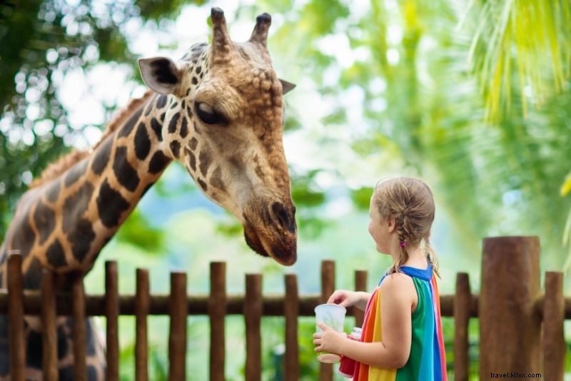 Discover 83 Fun & Unusual Things to Do in Dublin, Ireland