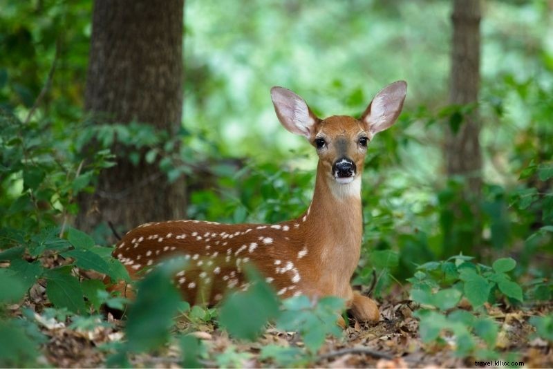 Discover 83 Fun & Unusual Things to Do in Dublin, Ireland