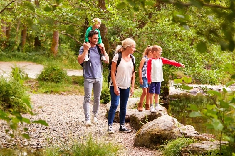 55 Must-Do Activities in Stockholm: Ultimate Fun Guide