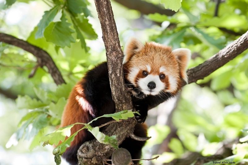 Discover 55 Fun & Unusual Things to Do in Munich, Germany