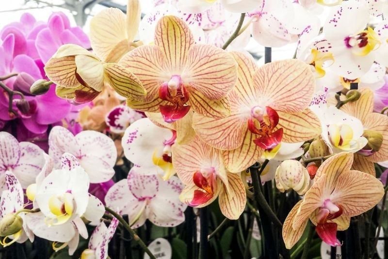 Discover 53 Fun & Unusual Things to Do in St. Thomas, USVI