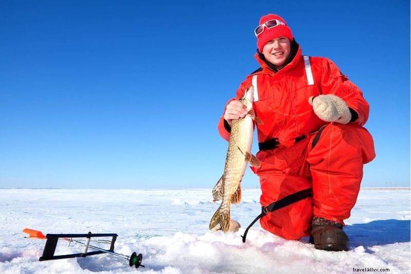 Discover 90 Fun & Unusual Things to Do in Montréal, Canada