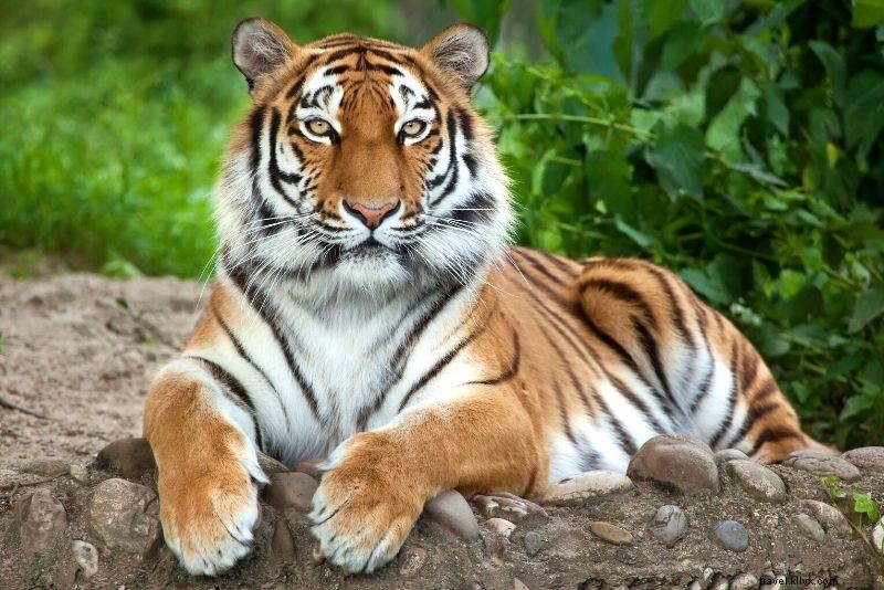 Discover 90 Fun & Unusual Things to Do in Montréal, Canada