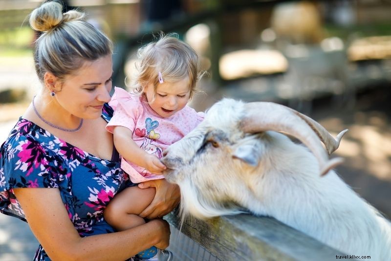 Discover 90 Fun & Unusual Things to Do in Montréal, Canada