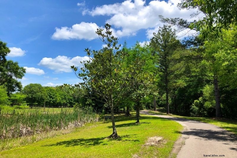 Discover 75 Must-Do Fun Activities in Jacksonville, Florida