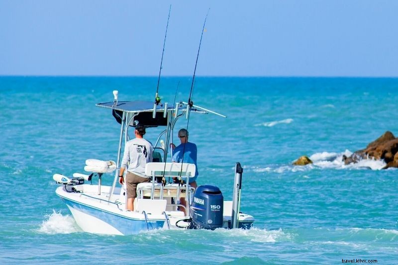 Discover 75 Must-Do Fun Activities in Jacksonville, Florida