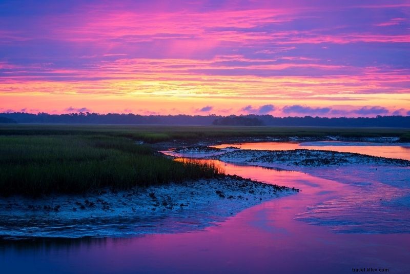 Discover 75 Must-Do Fun Activities in Jacksonville, Florida