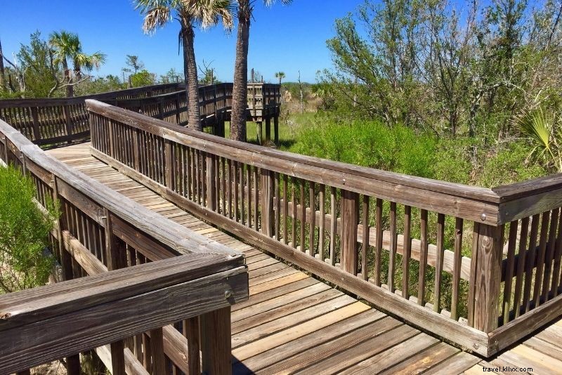 Discover 75 Must-Do Fun Activities in Jacksonville, Florida