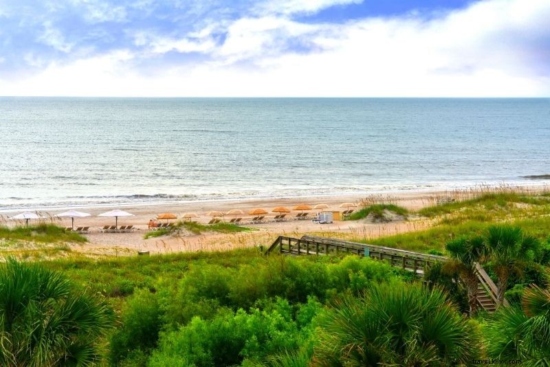 Discover 75 Must-Do Fun Activities in Jacksonville, Florida