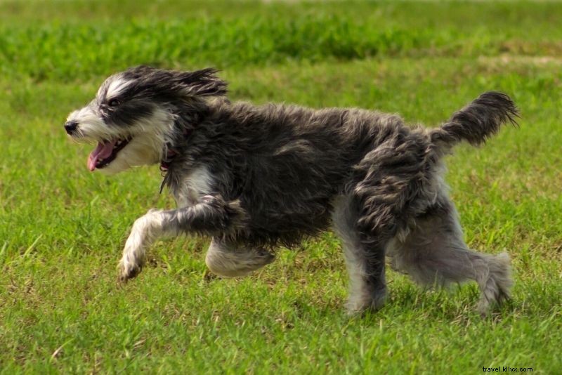 Discover 75 Must-Do Fun Activities in Jacksonville, Florida