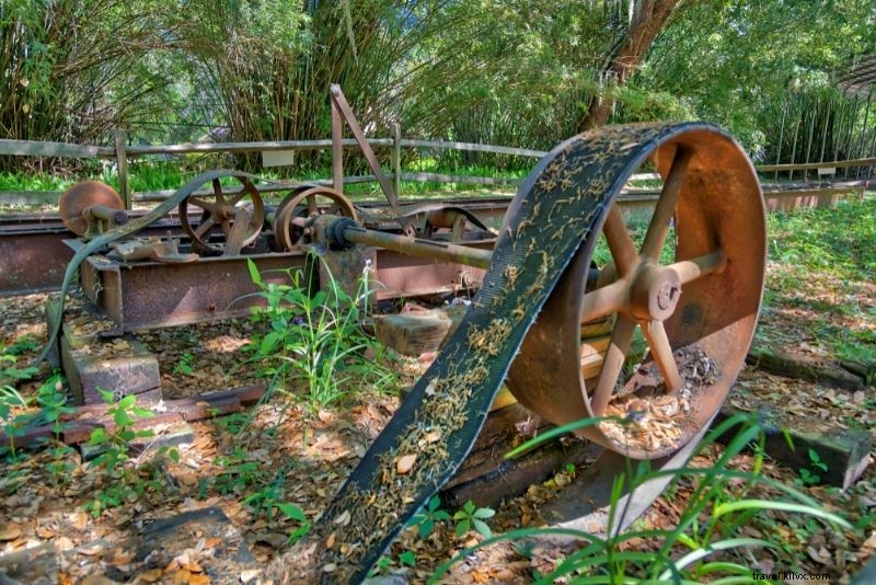 Discover 75 Must-Do Fun Activities in Jacksonville, Florida