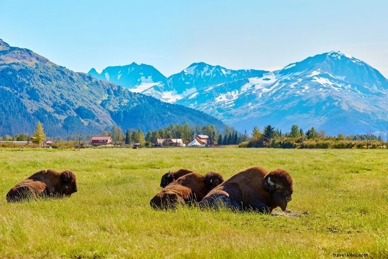 Discover 54 Fun & Unusual Things to Do in Anchorage, Alaska