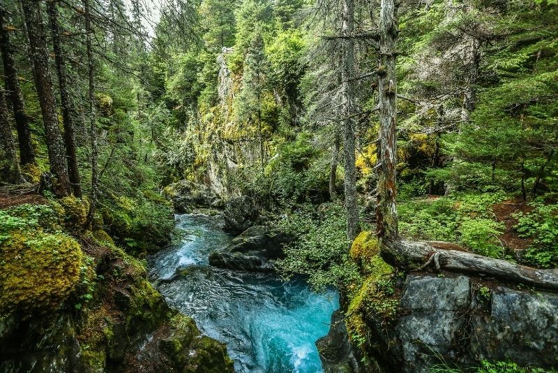 Discover 54 Fun & Unusual Things to Do in Anchorage, Alaska