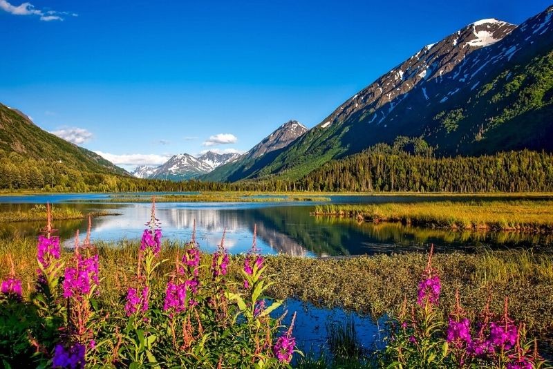 Discover 54 Fun & Unusual Things to Do in Anchorage, Alaska