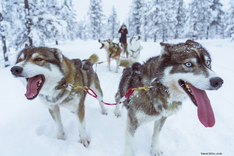 Discover 54 Fun & Unusual Things to Do in Anchorage, Alaska