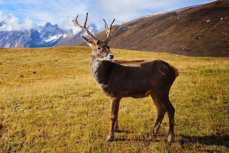 Discover 54 Fun & Unusual Things to Do in Anchorage, Alaska