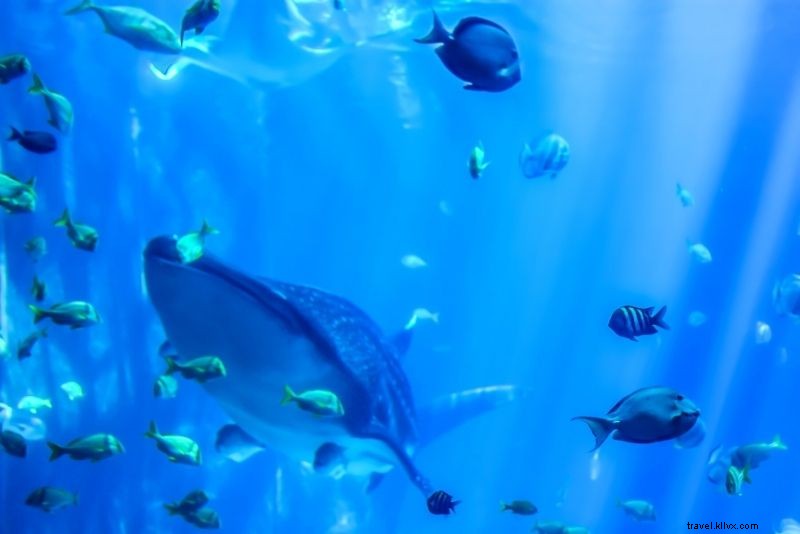 Discover 65 Fun & Unique Things to Do in Charlotte, NC