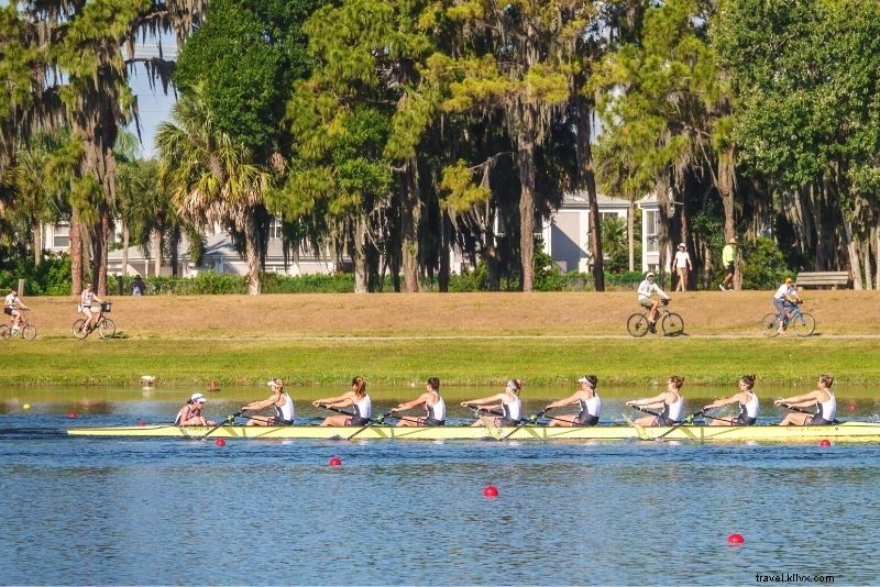 Discover 55 Top Things to Do in Sarasota, Florida: Beaches, Culture & Adventures