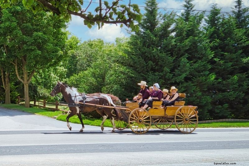 Discover 55 Top Things to Do in Sarasota, Florida: Beaches, Culture & Adventures