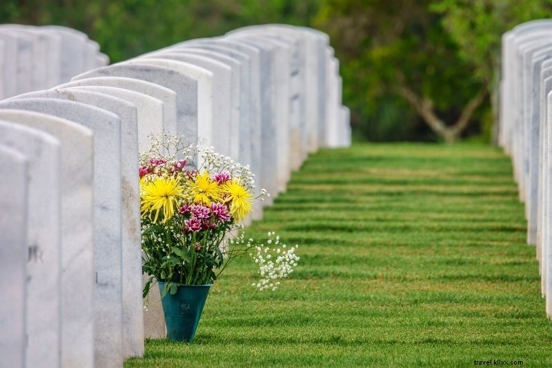 Discover 55 Top Things to Do in Sarasota, Florida: Beaches, Culture & Adventures