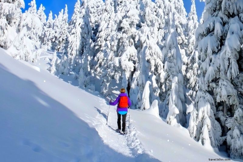 Discover 78 Exciting Things to Do in Vancouver, Canada: Ultimate Guide