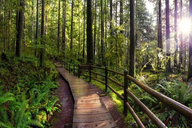 Discover 78 Exciting Things to Do in Vancouver, Canada: Ultimate Guide