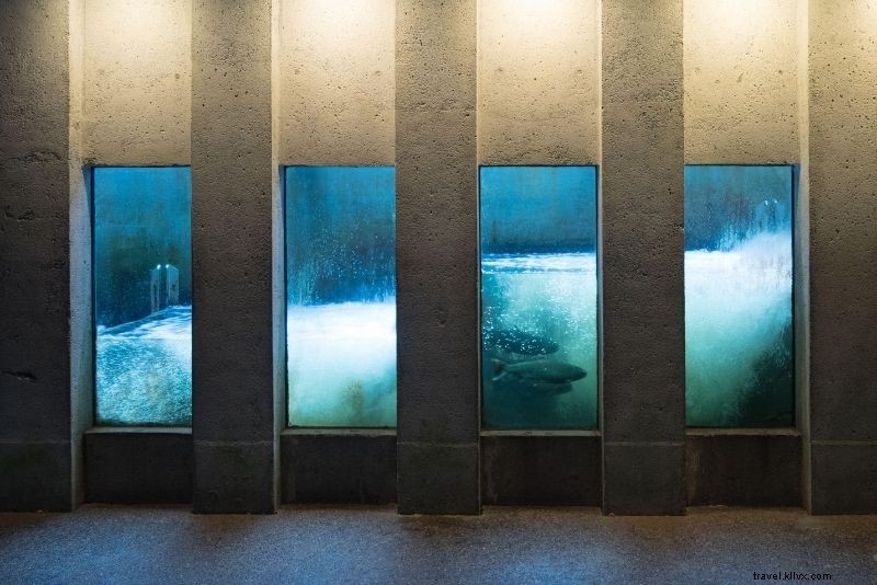 Discover 78 Exciting Things to Do in Vancouver, Canada: Ultimate Guide