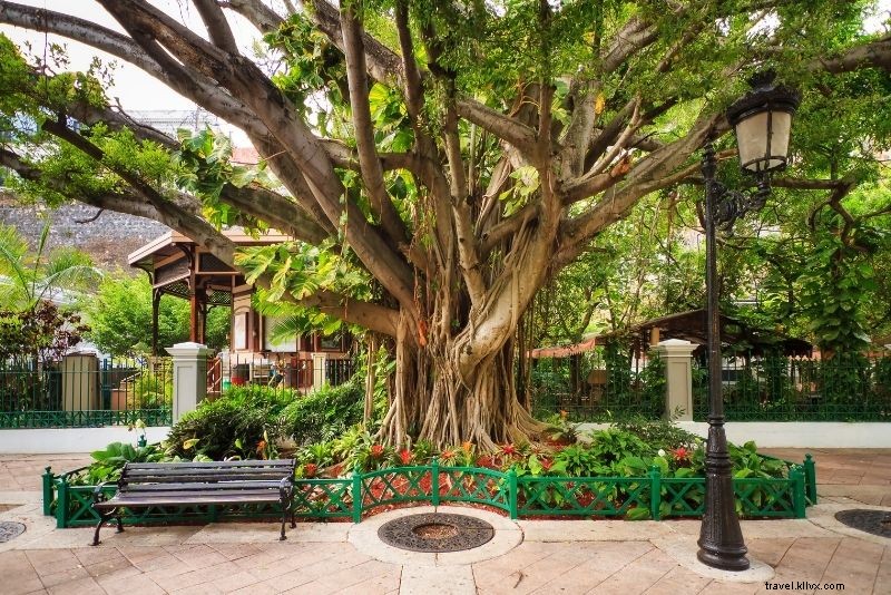 Top 30 Fun Things to Do in San Juan, Puerto Rico: Ultimate Travel Guide