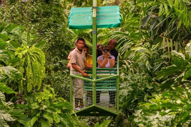 55 Fun & Unusual Things to Do in St. Lucia: Ultimate Travel Guide