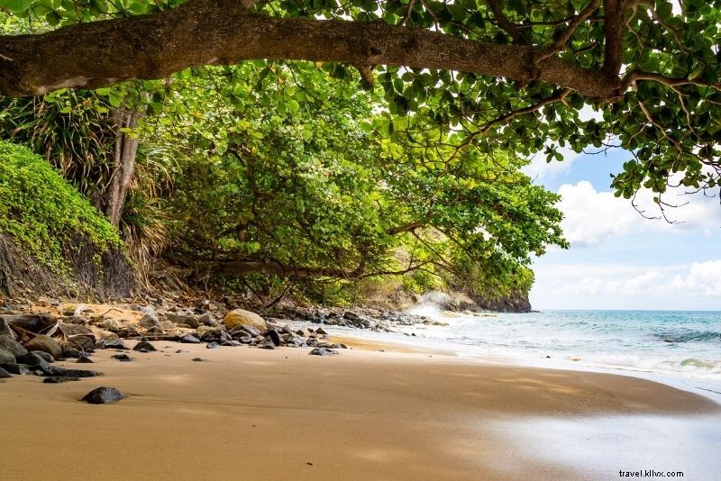55 Fun & Unusual Things to Do in St. Lucia: Ultimate Travel Guide