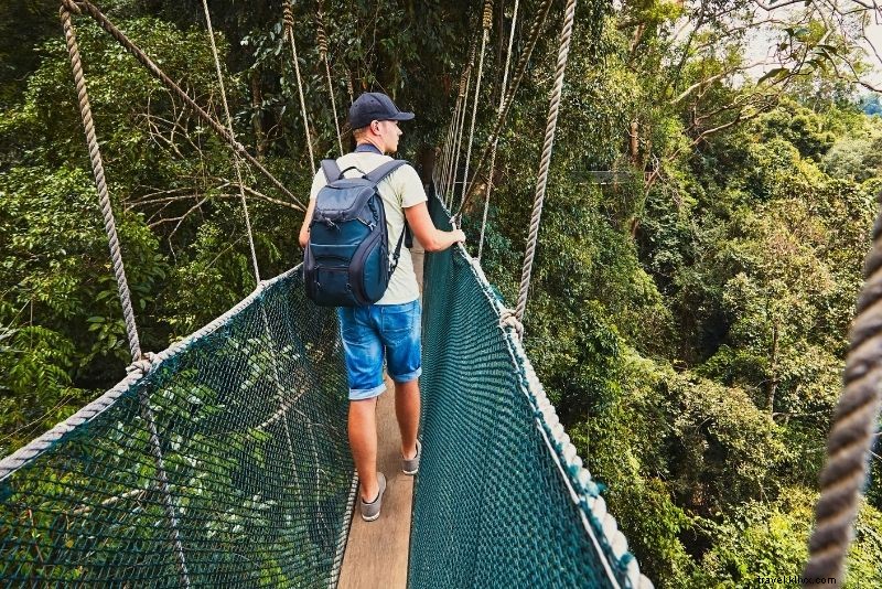 55 Fun & Unusual Things to Do in St. Lucia: Ultimate Travel Guide