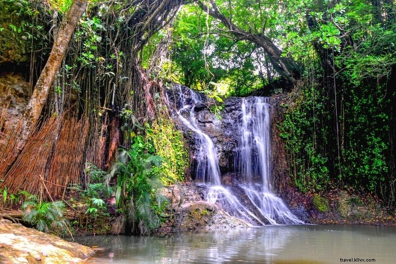 55 Fun & Unusual Things to Do in St. Lucia: Ultimate Travel Guide