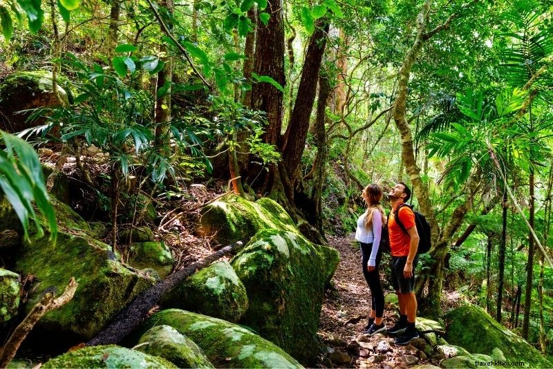 55 Fun & Unusual Things to Do in St. Lucia: Ultimate Travel Guide