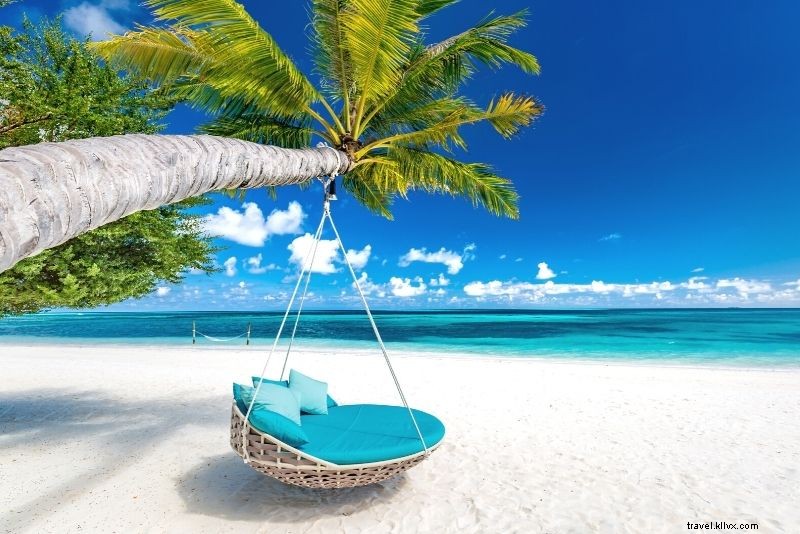 51 Best Things to Do in Cozumel, Mexico: Ultimate Island Adventure Guide