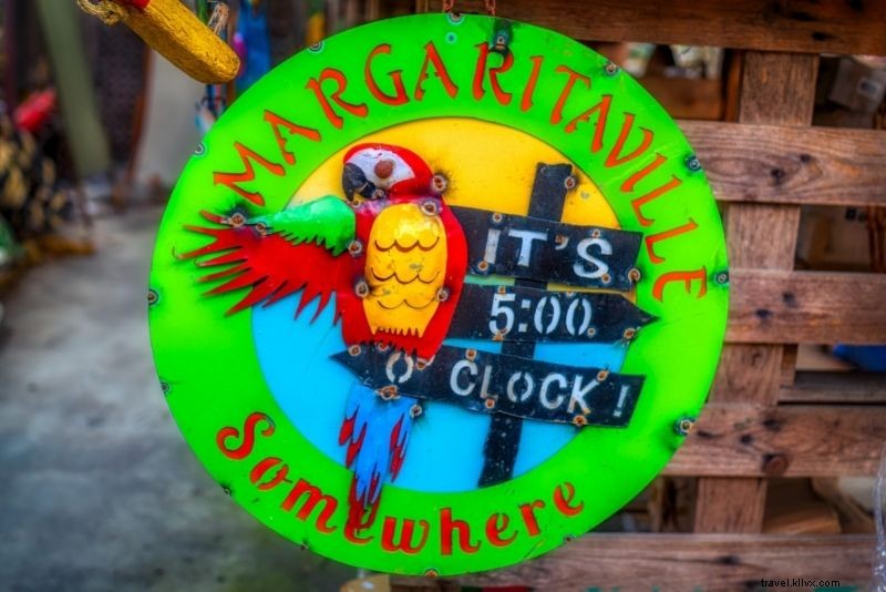 51 Best Things to Do in Cozumel, Mexico: Ultimate Island Adventure Guide