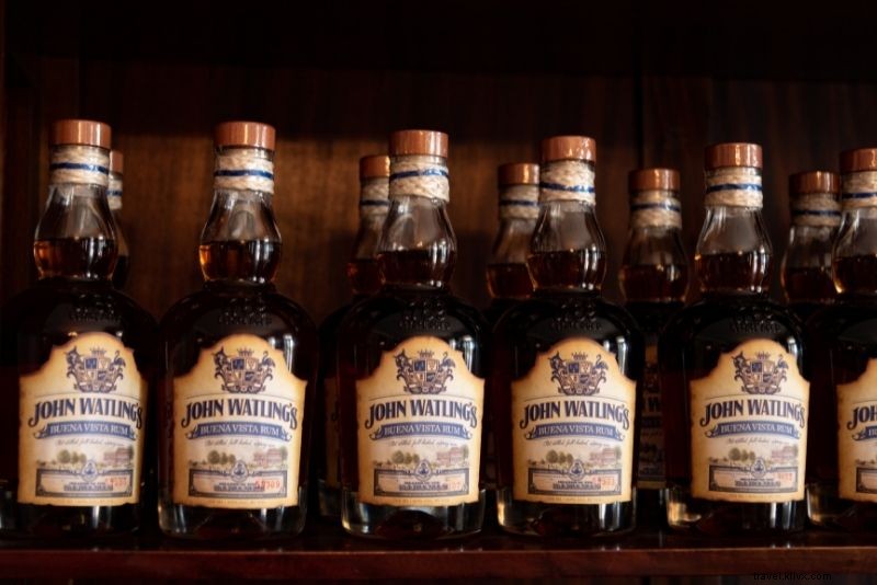 Discover 55 Fun & Unique Things to Do in Nassau, Bahamas