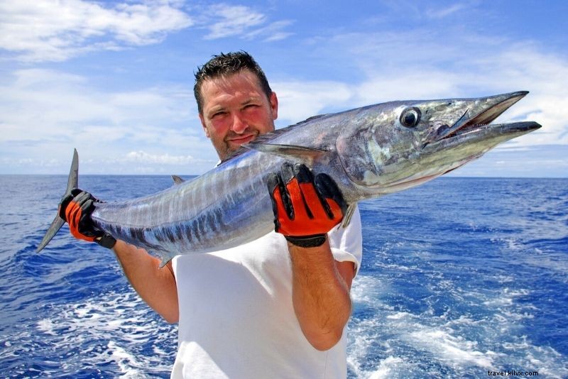 Discover 55 Fun & Unique Things to Do in Nassau, Bahamas