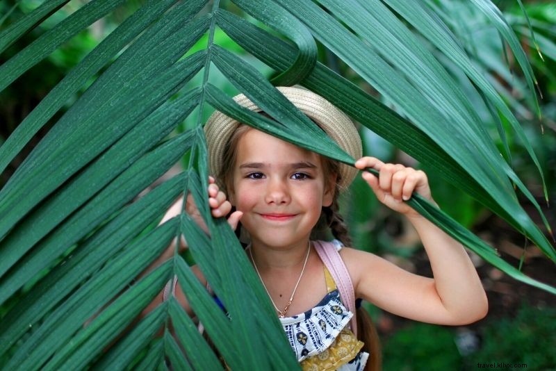 Discover 55 Fun & Unique Things to Do in Nassau, Bahamas