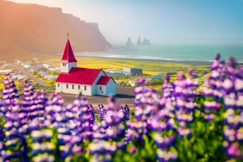 Discover 60 Fun and Unusual Things to Do in Reykjavik, Iceland