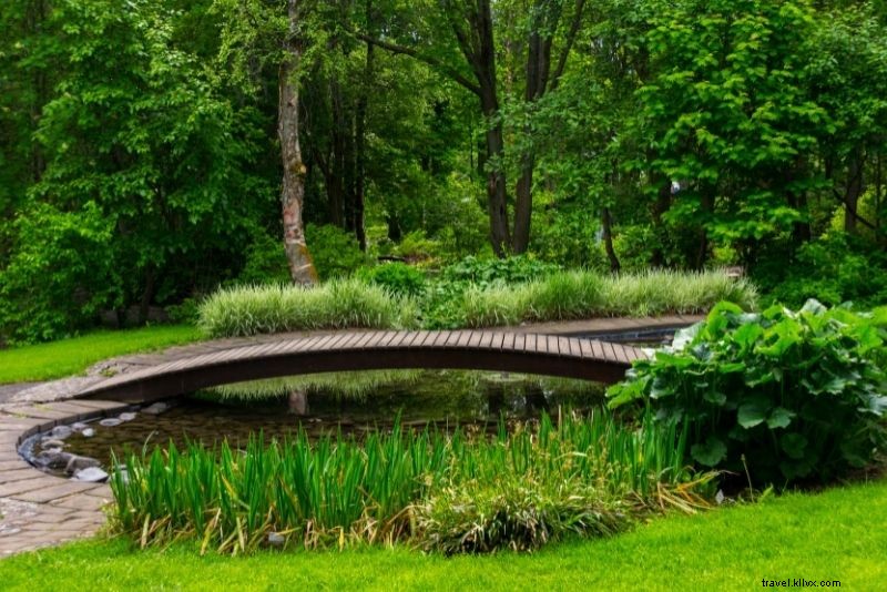 Discover 60 Fun and Unusual Things to Do in Reykjavik, Iceland