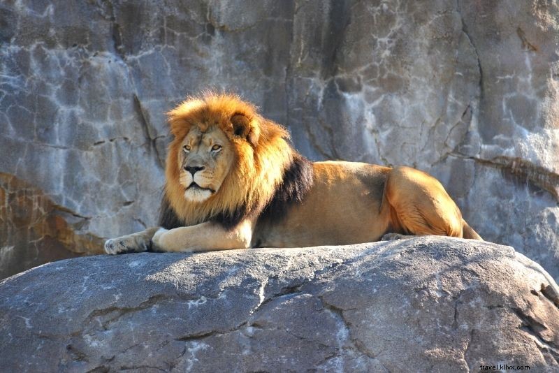 Discover 59 Fun & Unusual Things to Do in Kansas City