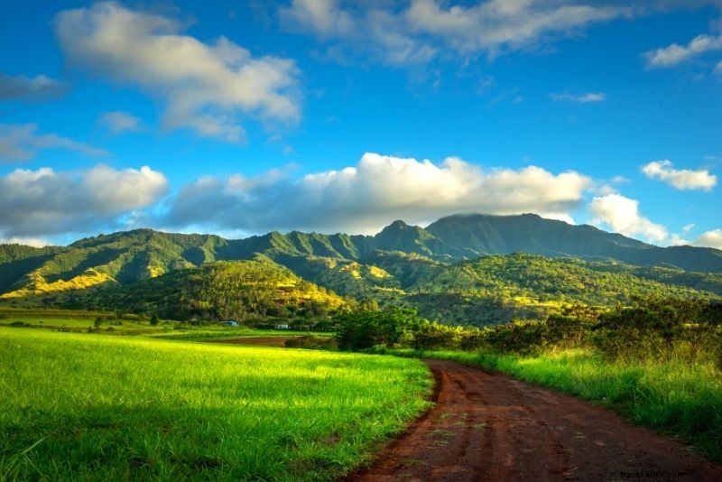 59 Best Things to Do in Honolulu, Hawaii: Ultimate Guide to Beaches, Hikes & Culture