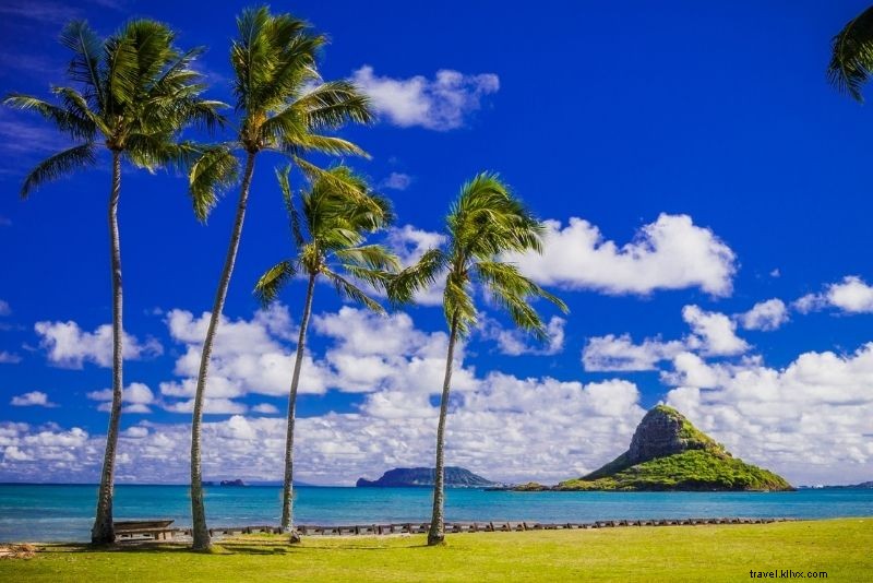 59 Best Things to Do in Honolulu, Hawaii: Ultimate Guide to Beaches, Hikes & Culture